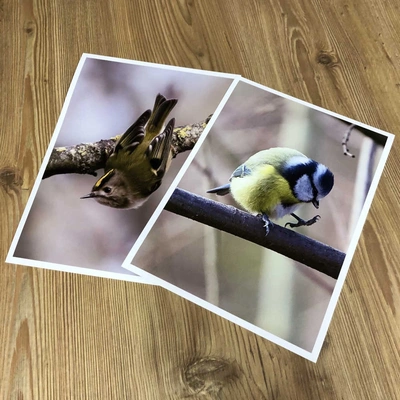  A4 Inkjet Prints (Artwork By Paul Turner)