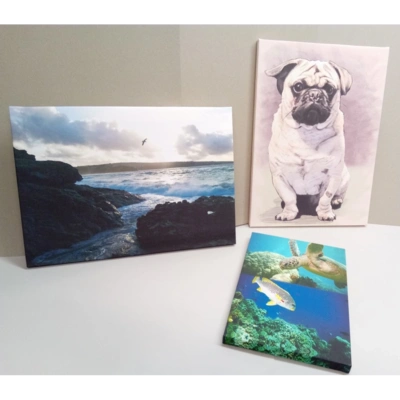 Different Canvas Sizes In Either Portrait Or Landscape