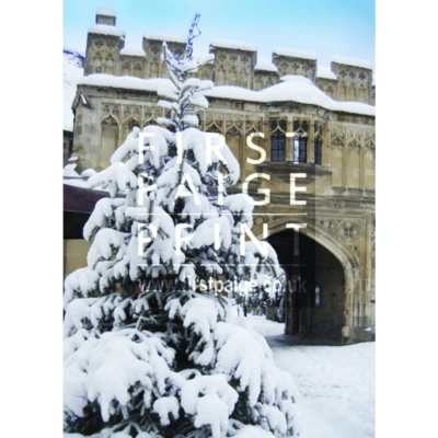 FP/51 Christmas Tree, Abbey Gateway, Malvern