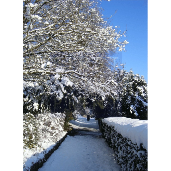 FP/53 Walk in the Rose Bank Gardens Malvern
