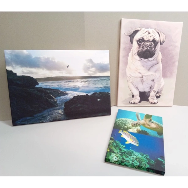 Different Canvas Sizes In Either Portrait Or Landscape